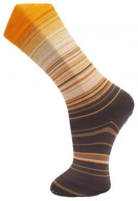 Effio Warming Stripes Herensokken Soil Life